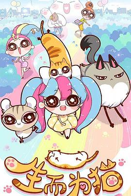 SEO优化做法的总结